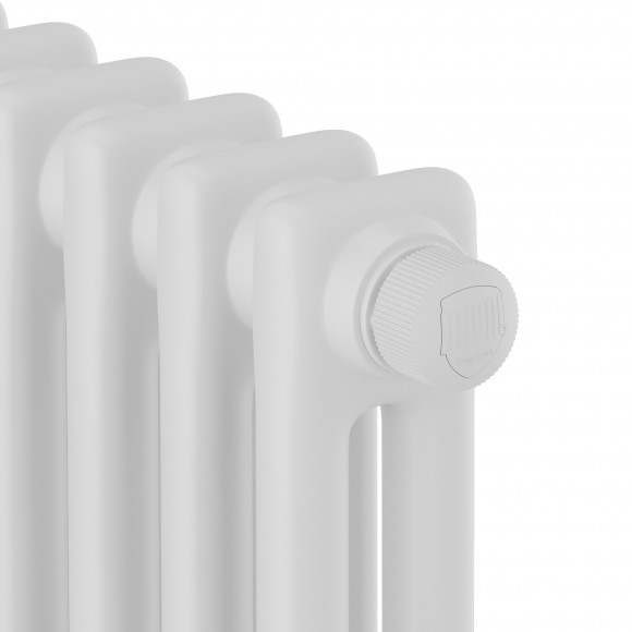 Дизайн-радиатор Royal Thermo Insignia VC3050  